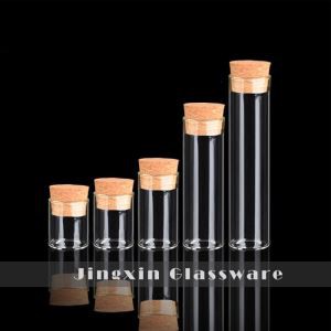 Malá Prázdná Skleněná Zkumavka Láhev S Korkovým Víkem